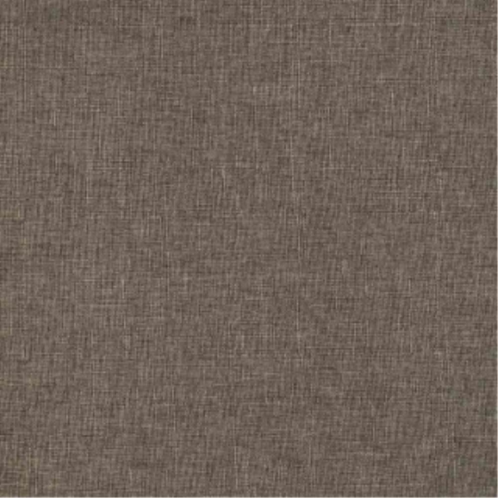 Driftwood - Wilde By Warwick || Material World