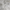 Marble - Zala By Maurice Kain || Material World