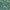 Navy - Zamiiflora By Zepel || Material World