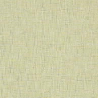 Citrus - Zen By ILIV || Material World